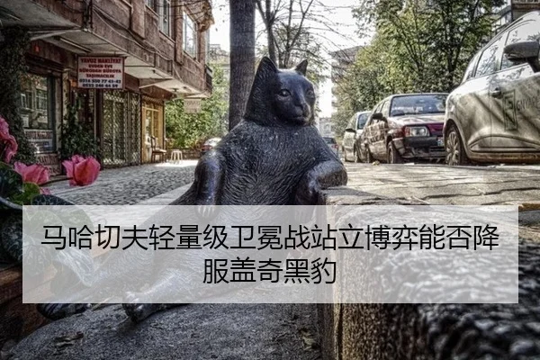 ma-ha-qie-fu-qing-liang-ji-wei-mian-zhan-zhan-li-bo-yi-neng-fou-xiang-fu-gai-qi-hei-bao-3-923.jpg