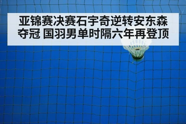badminton court final